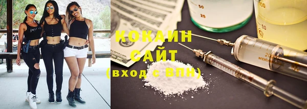 шишки Горнозаводск