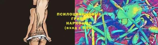 шишки Горнозаводск