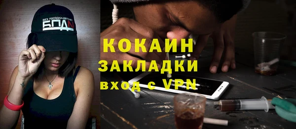 шишки Горнозаводск