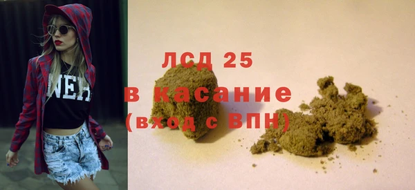 шишки Горнозаводск