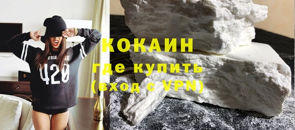 шишки Горнозаводск