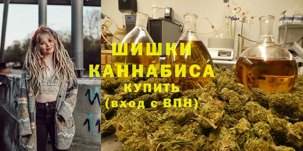 амф Тавда