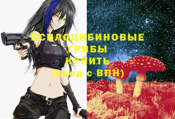 дмт Горняк