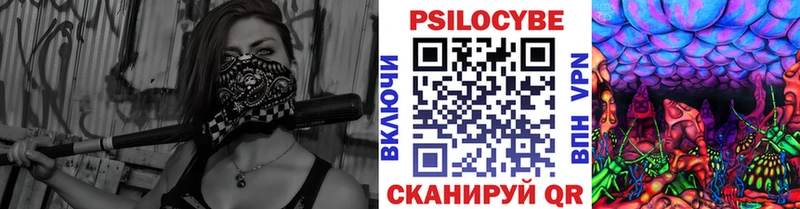 Псилоцибиновые грибы Cubensis  Купить закладки  Невель 